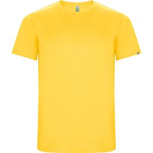 Roly CA0427 - IMOLA T-shirt met raglanmouwen in technisch weefsel van gerecycleerd polyester CONTROL DRY