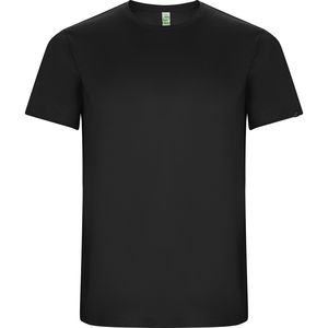 Roly CA0427 - IMOLA T-shirt met raglanmouwen in technisch weefsel van gerecycleerd polyester CONTROL DRY Donker lood