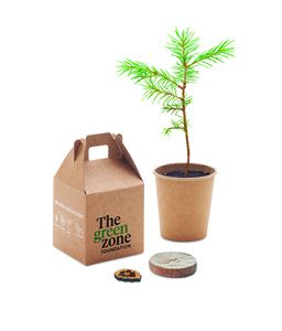 GiftRetail MO6228 - GROWTREE™ Pijnboom set Beige