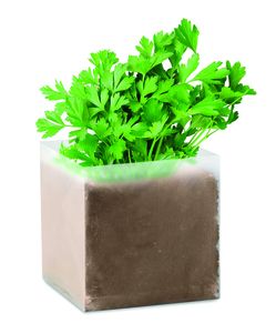 GiftRetail MO9547 - PARSELY Compost met peterselie zaadjes Beige