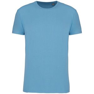 Kariban K3032IC - Uniseks t-shirt met ronde hals Bio190IC Bewolkt blauwe heide