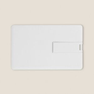 EgotierPro 2911216GB - USB-KAART 16GB